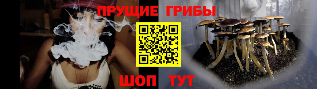 Галлюциногенные грибы прущие грибы  Вход с VPN  Учалы 
